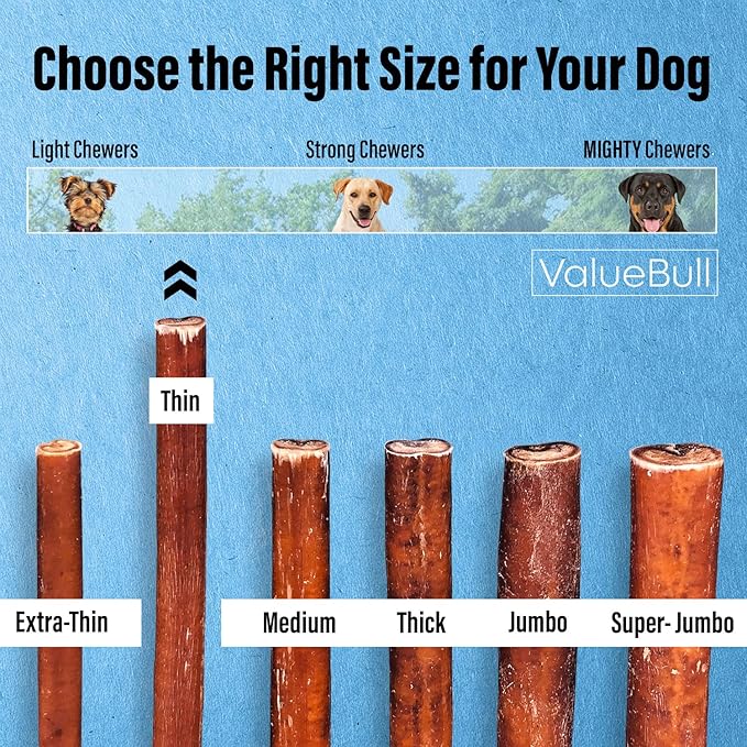 ValueBull Bully Sticks for Small Dogs, Thin 6 Inch, 50 Count - All Natural, Grass Fed, Single Ingredient, Long Lasting Dog Treats
