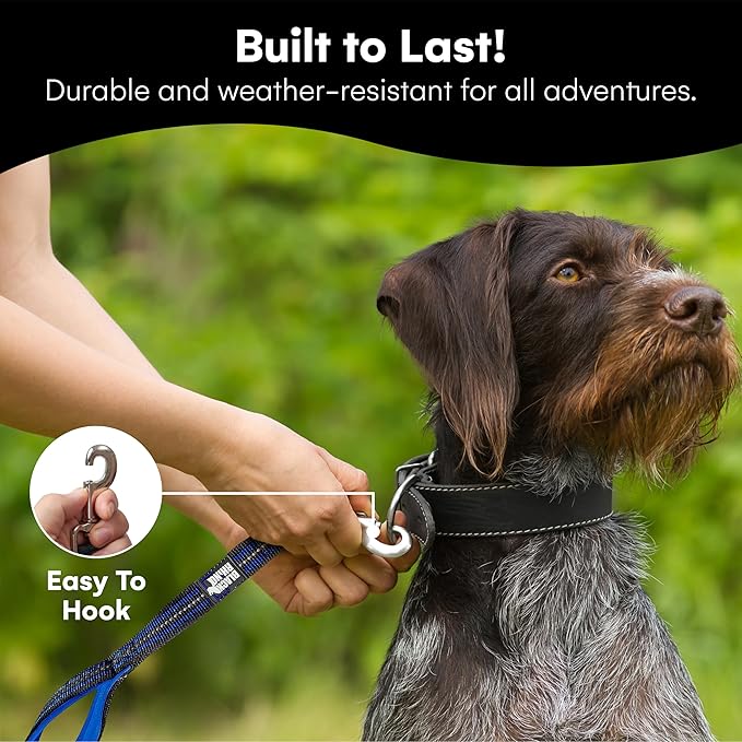 Black Rhino Heavy Duty Dog Leash for Medium and Large Dogs - 5 ft Long Double Handle Dog Leash with Padded Traffic Control Handles - Reflective, Durable, and Weather Resistant (Blue and Gray)