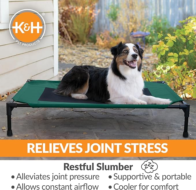 K&H Pet Products Outdoor Elevated Dog Cot, Breathable Cooling Elevated Cot Hammock Pet Bed for Large Dogs, Washable Mesh Cover, Raised Metal Frame, Collapsible, Portable - Large 42 X 30in Green