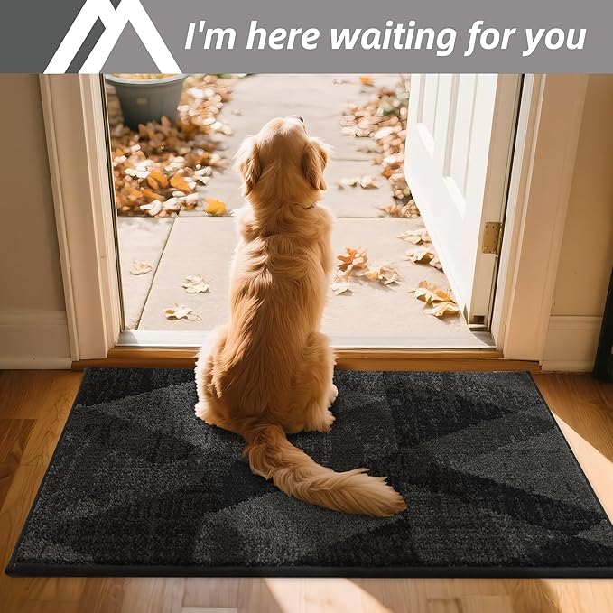 COSY HOMEER Entryway Rugs Doormat 20"x32", Non-Slip Absorbent Polyester, Washable Rugs for Front Door, Dirty Paws & High Traffic Areas, Dark Gray