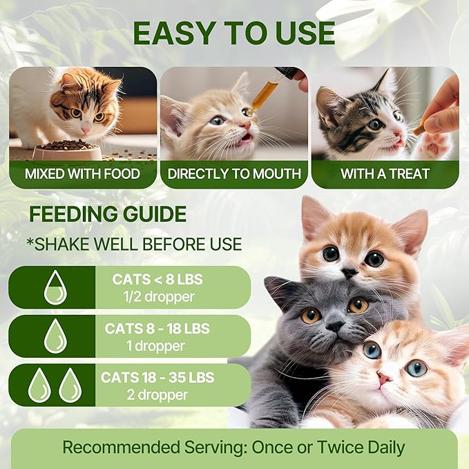 Cat Bladder Treatment for Stones & Crystals, Kidney Stones Dissolver for Cat - Urinary Tract Infection Treatment for Kidney and Bladder Stones, Herbal CatUTI Remedy for Stone Relief & Prevention