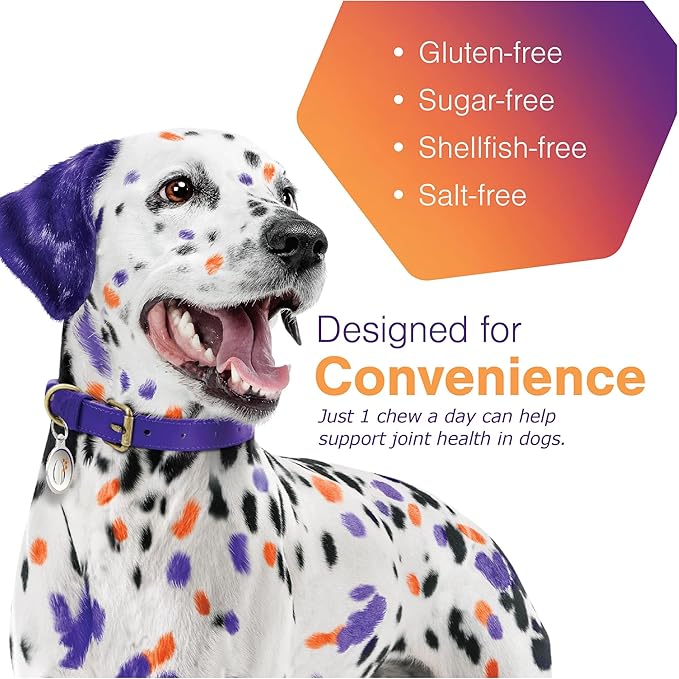 Soft Chews Hip and Joint Support Supplement for Large Dogs - 120 Count By Virbac