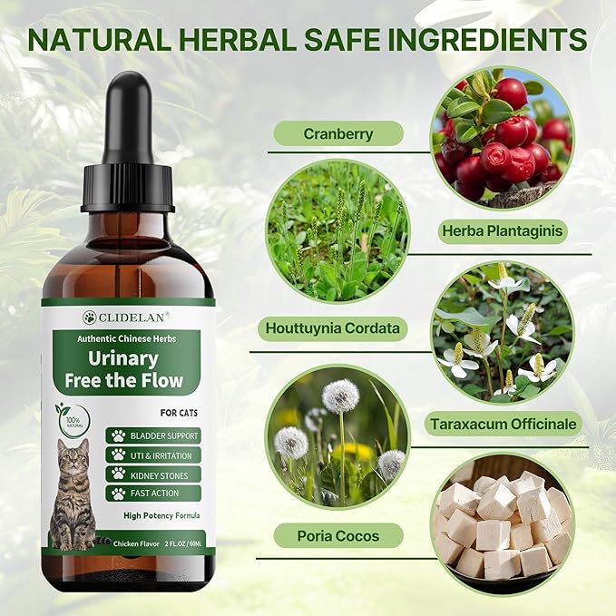 Cat Bladder Treatment for Stones & Crystals, Kidney Stones Dissolver for Cat - Urinary Tract Infection Treatment for Kidney and Bladder Stones, Herbal CatUTI Remedy for Stone Relief & Prevention