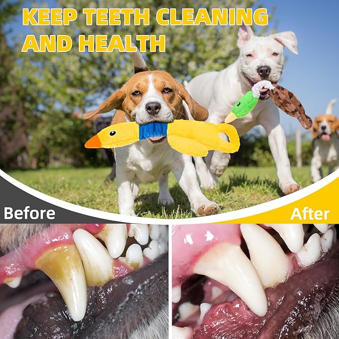 Mihachi Squeaky Dog Toys 2 Pack, Plush Stuffed Puppy Toys with Crinkle Paper-Tug of War Dog Toys for Small, Medium and Large Dogs Duck Interactive Squeaky Pet Toys to Keep Them Busy, Wild+Yellow Duck