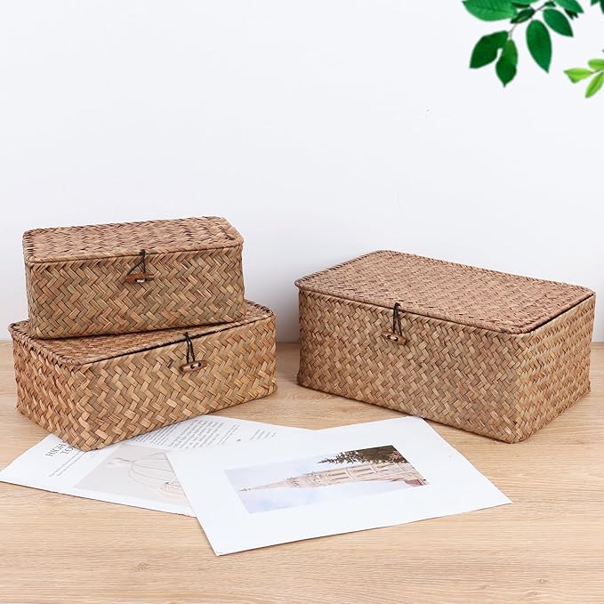 FEIALNDUO Wicker Shelf Baskets with Lid,Seagrass Storage Basket Bins Rectangular Handwoven Basket Boxes for Shelves Desktop Home Organizer (Coffee, Large)