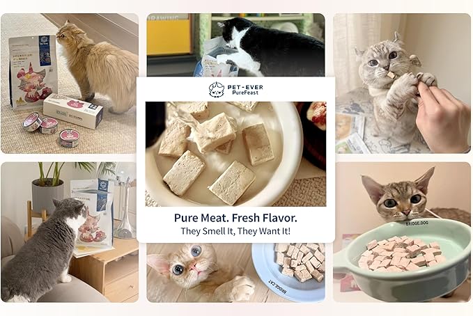 Freeze-Dried Raw Cat Food, 97% Animal Origin Dry Food for Cat, High Protein Treat & Topper (Beef Recipe - 14 Ounce)