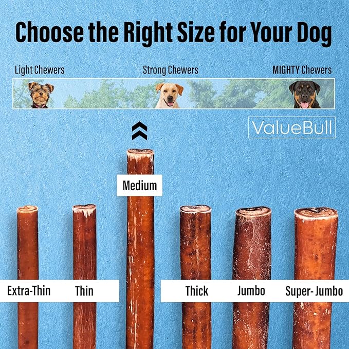 ValueBull Bully Sticks for Dogs, Medium 6 Inch, 200 Count Bulk Pack - All Natural, Grass Fed, Single Ingredient, Long Lasting Dog Treats