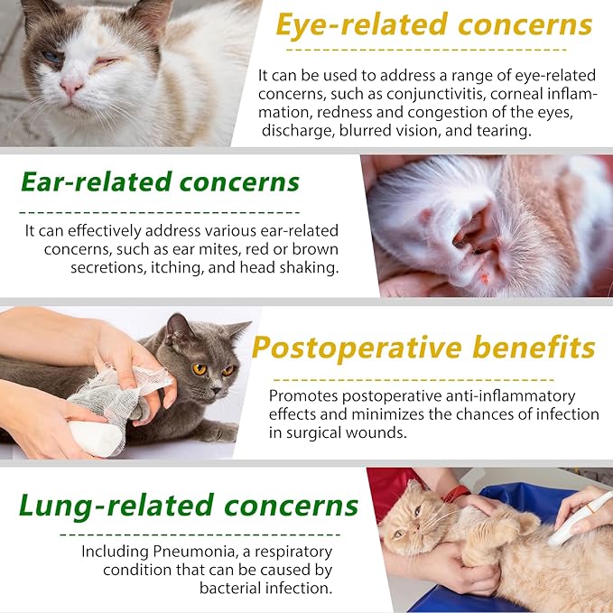Antibiotics for Cats Supports Immune & Allergy Relief 60ml, Natural Cat Antibiotics Liquid Drops - Fast Absorption, Digestive Aid, Urinary Tract, Skin, Ear & Dental Infection.