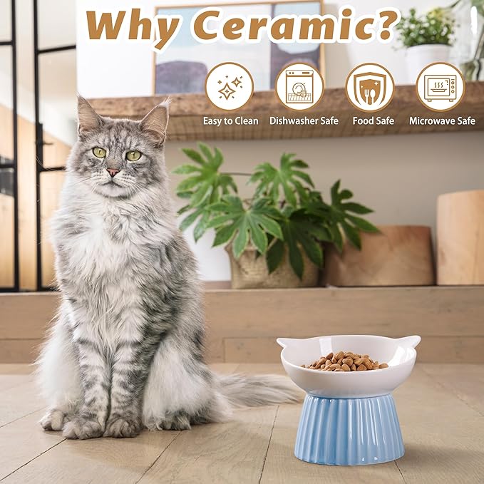Wellbro Ceramic Raised Cat Bowl,Tilted Raised Bowl Anti Vomit for Indoor Cats Whisker Friendly Pet Feeder for Cats Puppies, Microwave and Dishwasher Safe (Pink)