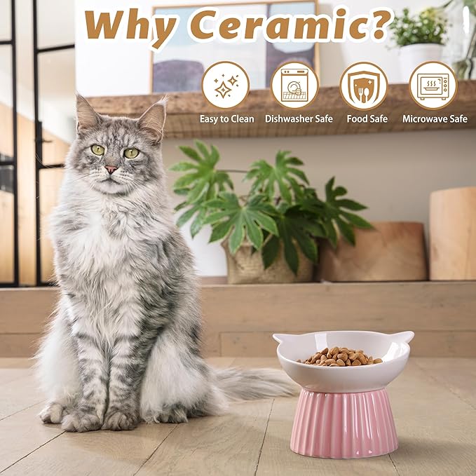 Wellbro Ceramic Raised Cat Bowl,Tilted Raised Bowl Anti Vomit for Indoor Cats Whisker Friendly Pet Feeder for Cats Puppies, Microwave and Dishwasher Safe (Blue)