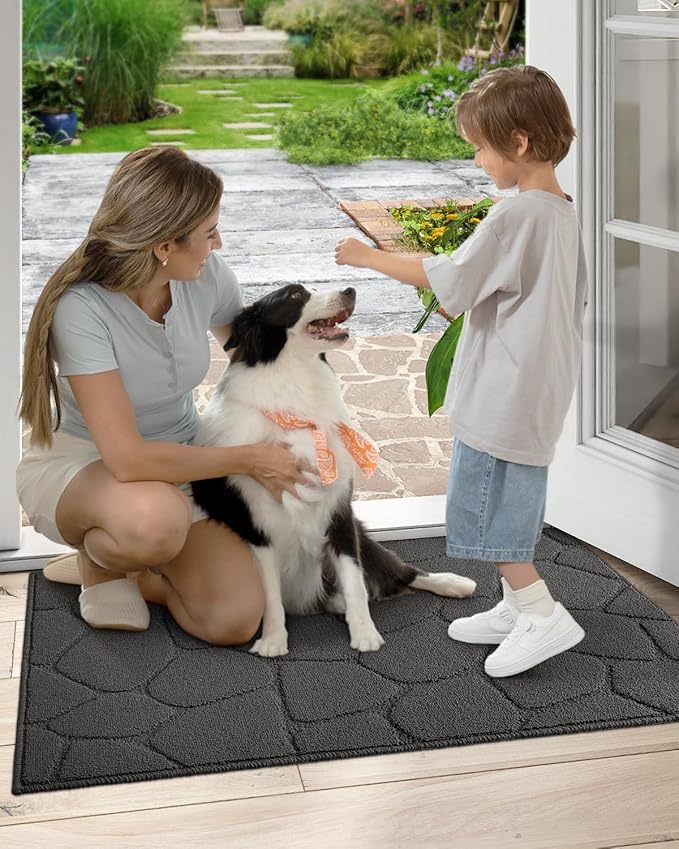 DEXI Front Door Entryway Mat Non Slip, 32x48 Washable Inside Entrance for House Floor Low Profile, Thin Entry Doormat Absorbent Dirt Trapper, Pebble Grey