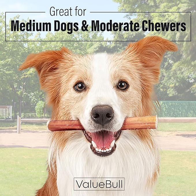 ValueBull Bully Sticks for Dogs, Medium 6 Inch, 200 Count Bulk Pack - All Natural, Grass Fed, Single Ingredient, Long Lasting Dog Treats
