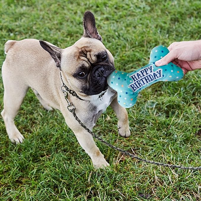 Prime Pets Dog Birthday Toys, Plush Dog Squeaky Toys, Stuffed Puppy Chew Toy for Small Medium Large Dogs, Bone Pet Toy