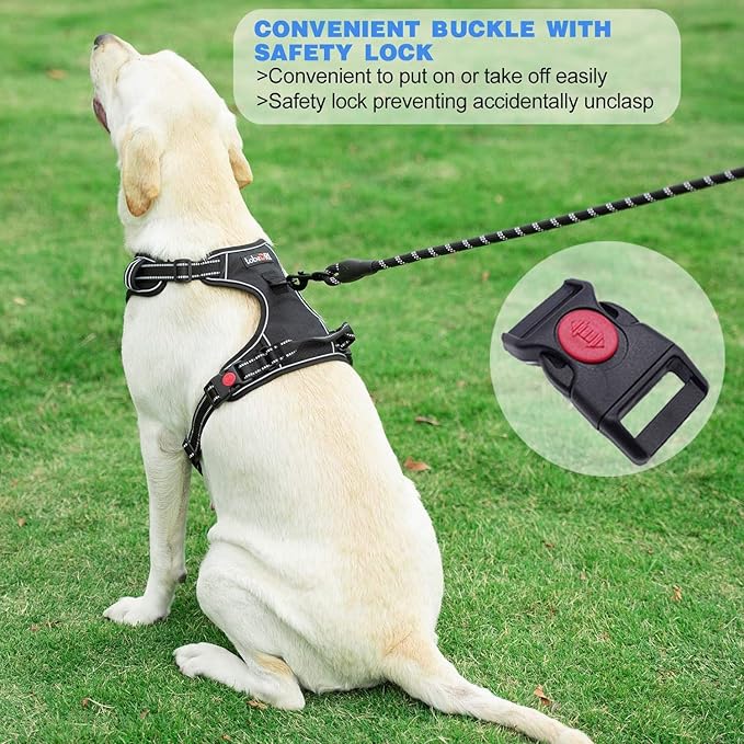 No Pull Dog Harness Adjustable Reflective Oxford Easy Control Medium Large Dog Harness with A Free Heavy Duty 5ft Dog Leash (XL (Neck: 22"-32", Chest: 31"-38"), Orange Harness+Leash)