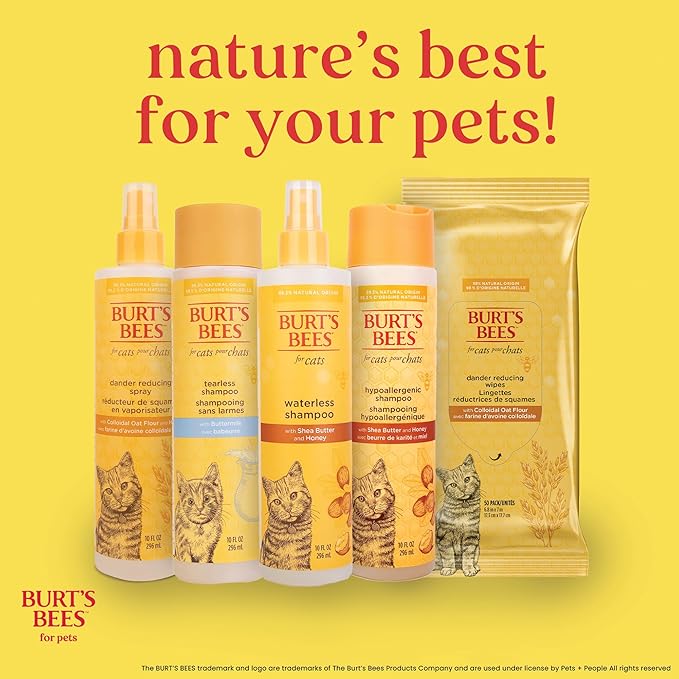 Burt's Bees for Pets Cat Dander Wipes with Colloidal Oat Flour, 98% Natural Origin Formulas, Cats Dandruff Remedy, Feline Cleansing Sheets for Allergy Relief, 3pk, 50ct