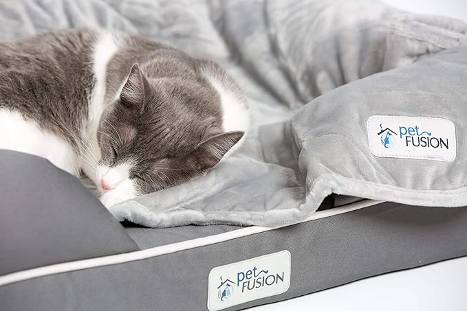PetFusion Ultimate Dog Bed, Orthopedic Memory Foam, Multiple Sizes and Colors, Medium Firmness Pillow, Waterproof Liner, YKK Zippers, Breathable 35% Cotton Cover