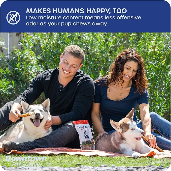 Downtown Pet Supply USA-Made 12", 8 Oz. Jumbo Bully Sticks for Large Dogs - Rawhide Free Dog Chews Long Lasting and Non-Splintering - Single Ingredient, Low Odor Bully Sticks for Medium Dogs