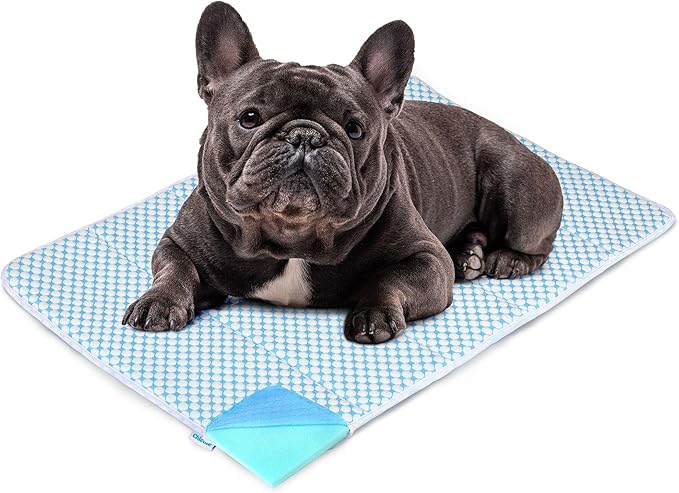 Cooling Mat Blue M