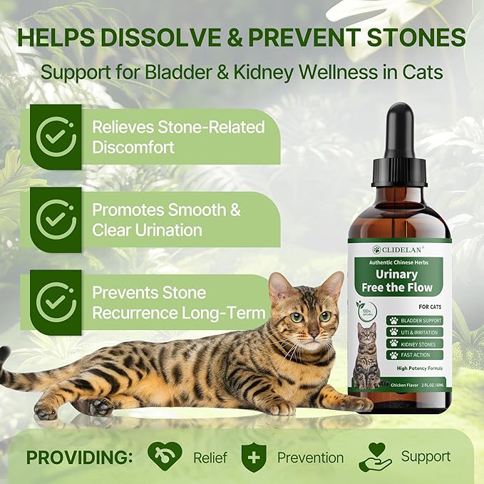 Cat Bladder Treatment for Stones & Crystals, Kidney Stones Dissolver for Cat - Urinary Tract Infection Treatment for Kidney and Bladder Stones, Herbal CatUTI Remedy for Stone Relief & Prevention