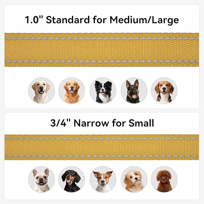 Joytale Dog Leash, 4 FT Double-Sided Reflective, Padded Handle Nylon Heavy Duty Leashes for Small Dogs Walking, Khaki