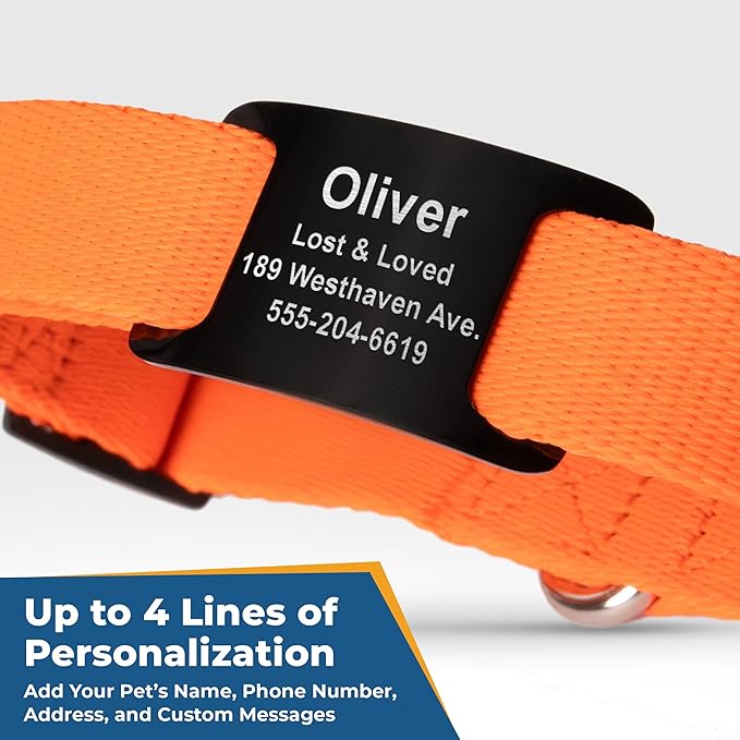 GoTags Personalized Dog Collar with Nameplate, Adjustable Dog Collar with Custom Engraved Slide On Pet ID Tag in Stainless Steel, Silent, No Noise Dog Tag for Large Medium and Small (Orange, Small)