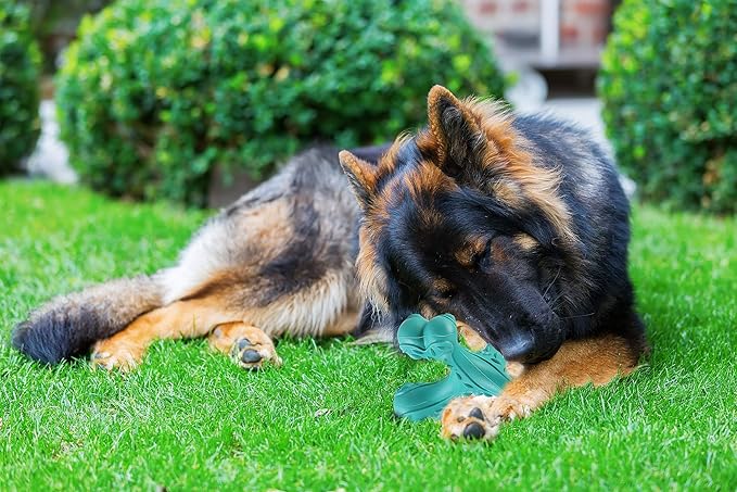 CVALIN Dog Chew Toys for Aggressive Chewers Large Breed,Indestructible Bones Toy,Durable Cleaning Toothbrush Natural Rubber Dog Toys… (Blue)