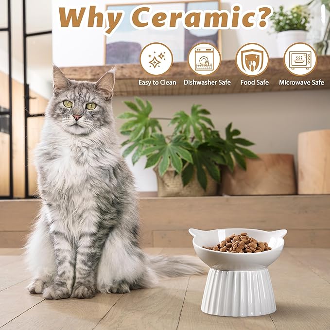 Wellbro Ceramic Raised Cat Bowl,Tilted Raised Cat Bowl Anti Vomit Cat Bowls for Indoor Cats Whisker Friendly Pet Feeder for Cats Puppies, Microwave and Dishwasher Safe