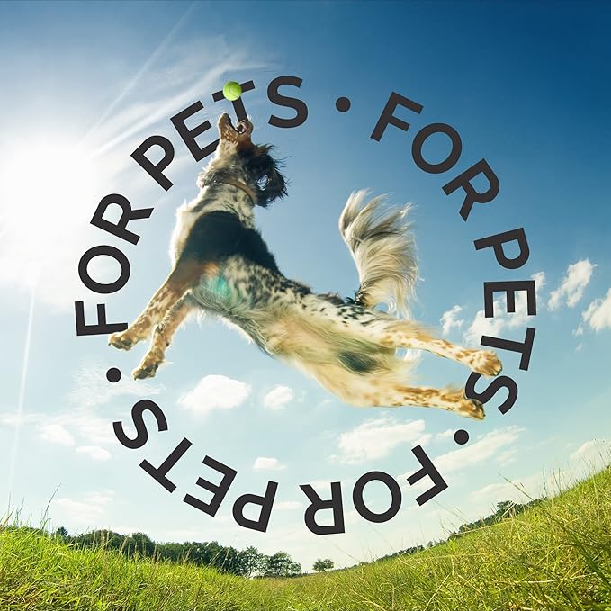 Bark2Basics Salon Scents Pet Grooming Cologne - 8 oz, Natural Professional Groomer Perfume for Dogs and Cats, Long Lasting, Deodorizing, Conditioning (Passion Fruit)