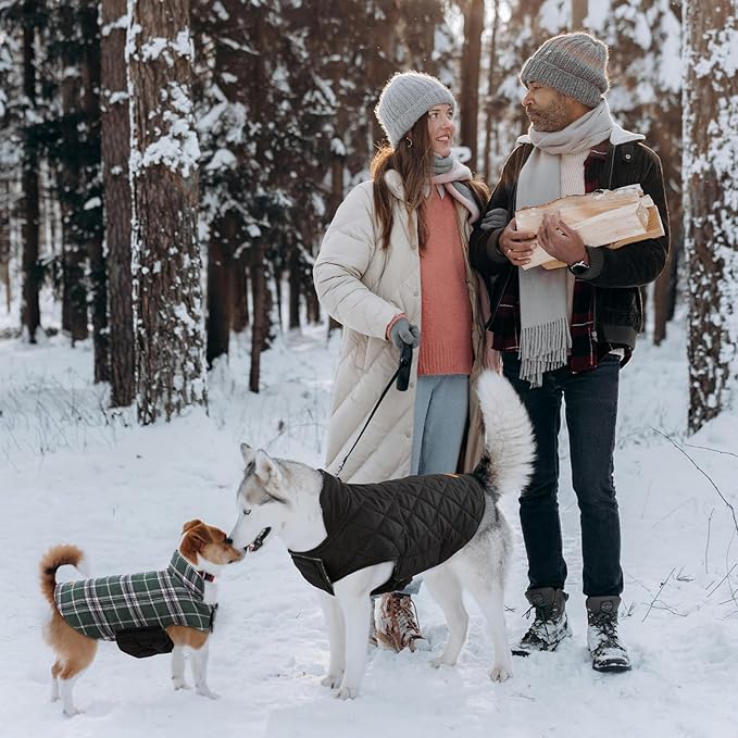Kuoser Warm Dog Coat, Waterproof Dog Jacket for Extra Large Dogs, Adjustable Durable XXL Doggie Winter Coat Reversible Puppy Cold Weather Apparel from Small to Large Breed, Green XXL