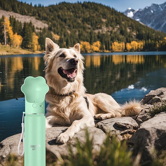 Waggle Bottle Stainless Steel Dog Travel Water Bottle, Vacuum Insulated Portable Dog Water Dispenser, Drink Cup and Snack Container On The Go, Outdoor Walking, Hiking, Travel (Mint)