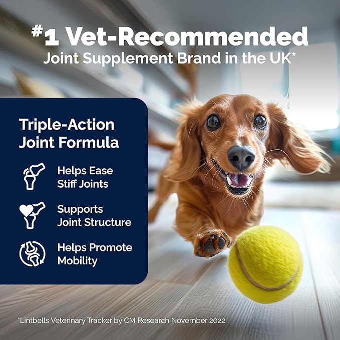 YuMOVE Hip & Joint Supplement for Dogs with Glucosamine, Hyaluronic Acid, Green Lipped Mussel & Omega 3 Joint Supplement - Regular and Advanced Strength (300ct, Chewable Tablets)