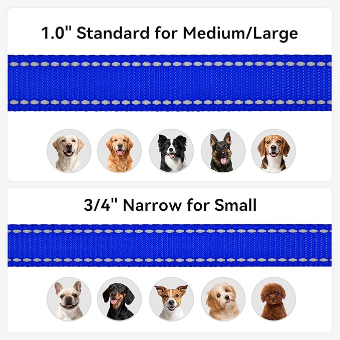 Joytale Dog Leash, 5 FT Double-Sided Reflective, Padded Handle Nylon Heavy Duty Leashes for Small Dogs Walking, Navy Blue