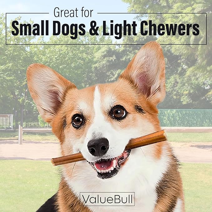 ValueBull Bully Sticks for Small Dogs, Thin 6 Inch, 50 Count - All Natural, Grass Fed, Single Ingredient, Long Lasting Dog Treats