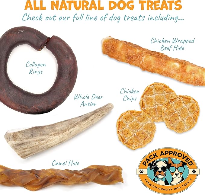 Camel Skin Dog Chews for Aggressive Chewers - Hypoallergenic Natural Collagen Sticks for Dental Health & Protein Boost - Long Lasting Treats for Large Dogs