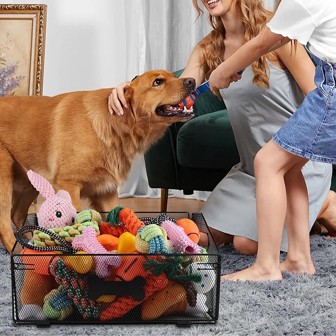 Metal Dog Toy Basket, Indestructible Large Durable Organizer, Customizable Name & Purpose, Ideal for Dog Toys & Meds