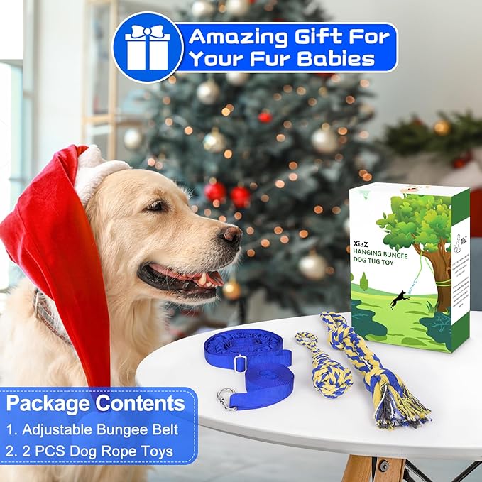 XiaZ Tug of War Dog Toy, Interactive Dogs Toy Bungee Hanging Tether with 2 Chew Rope Toys, Heavy Duty Puppy Outdoor Activity Aggressive Chewers Best Small to Large Boredom Exercise and Play (Blue)