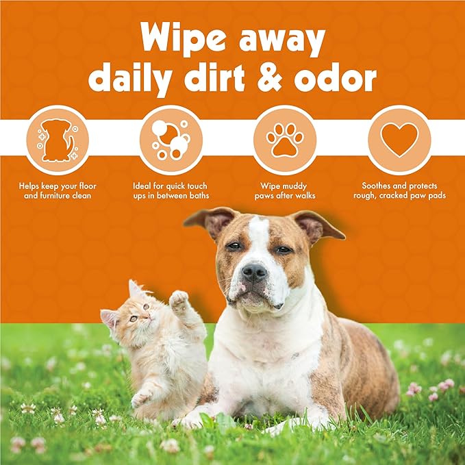 Petkin Big N' Thick Paw Wipes for Dogs, 100 Large Wipes (4 Pack) - Clean Dirty Paws After Walks, with Paw Balm Protectant - Keep Floors and Furniture Clean - Ideal for Home or Travel - Orange Scent