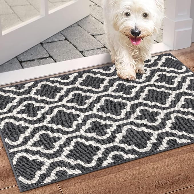 HEBE Indoor Door Mat 24''x36'' Non Slip Front Door Welcome Mats Washable Shoe Mats Dirt Trapper for Entryway Low Profile Kitchen Carpet for Entrance Hallways Entrance Mat for Dogs