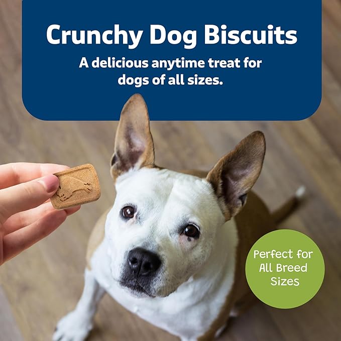 Blue Buffalo Health Bars Crunchy Dog Biscuits, Oven-Baked With Natural Ingredients, Apples & Yogurt, 3.5-lb Box