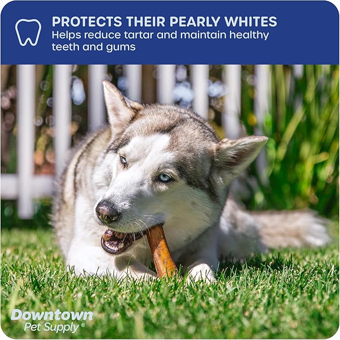 Downtown Pet Supply USA-Made 12", 8 Oz. Jumbo Bully Sticks for Large Dogs - Rawhide Free Dog Chews Long Lasting and Non-Splintering - Single Ingredient, Low Odor Bully Sticks for Medium Dogs