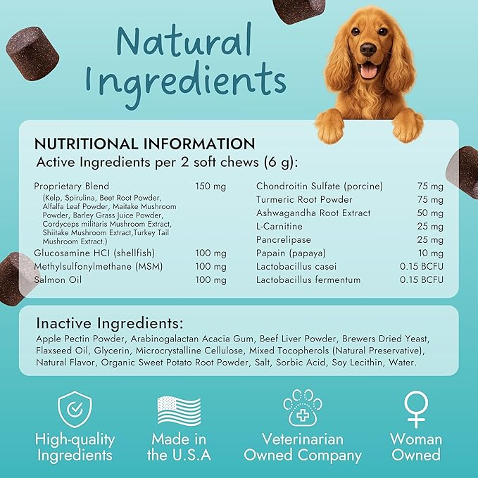 Pet Vet Multi Soft Chews for Dogs (Beef Liver, 60 Chews) – Multivitamins, Probiotics for Digestive Health – Glucosamine, Skin Supplement – Immune Support, Supplements & Vitamins