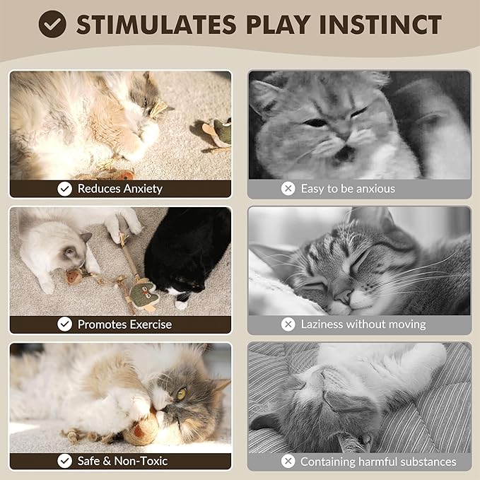 3-Pack Silvervine Sticks for Cats with Sisal Rope – Natural Catnip & Matatabi Cat Chew Toys for Indoor Cats, Kitten Toys for Dental Care, Stress Relief & Teeth Cleaning
