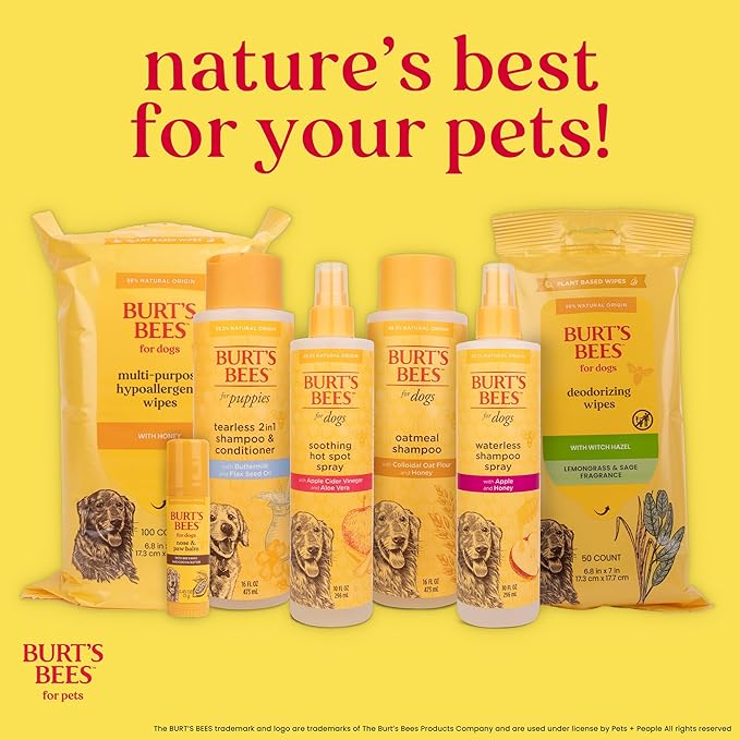 Burt’s Bees for Pets Deodorizing Wipes with Witch Hazel - 95% Natural Origin Odor Control Wipes, Gentle Deodorizing Formula That Refreshes Dog Coat, Daily Use, 50 Count