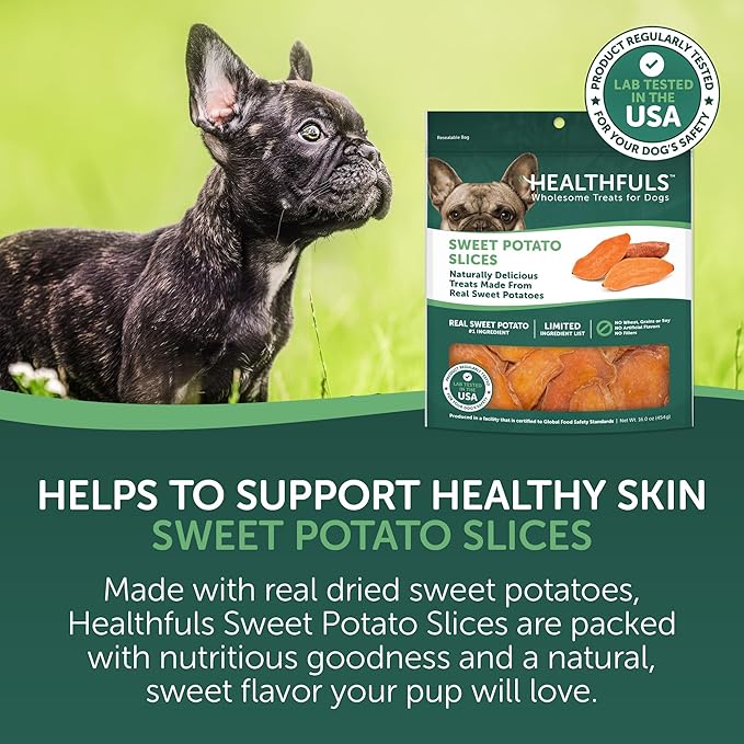 Sweet Potato Slices Dog Treats, 16oz