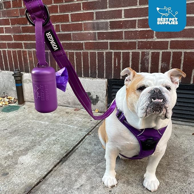 Best Pet Supplies Dog Poop Bag Holder Leash Attachment with 30 Bags, Reusable Dispenser for Travel, Walking, Park, and Outdoor Use, Durable with Clip-On - Royal Blue, Pack of 2