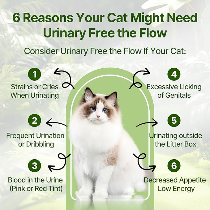 Cat Bladder Treatment for Stones & Crystals, Kidney Stones Dissolver for Cat - Urinary Tract Infection Treatment for Kidney and Bladder Stones, Herbal CatUTI Remedy for Stone Relief & Prevention