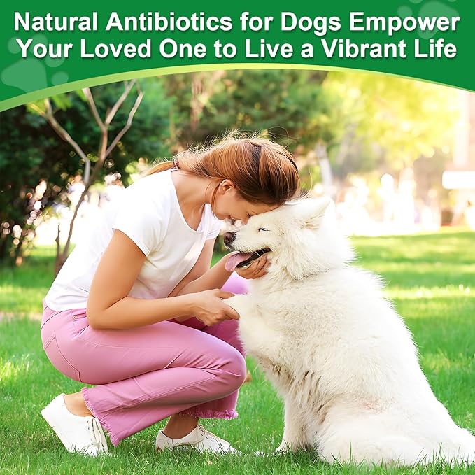 Antibiotics for Dogs,Natural Antibiotics for Dogs,Dog Antibiotic,Pet Antibiotic, Dog Multivitamin, Supports Allergy and Itch Relief,Dietary Supplement,Natural Herbal Supplement
