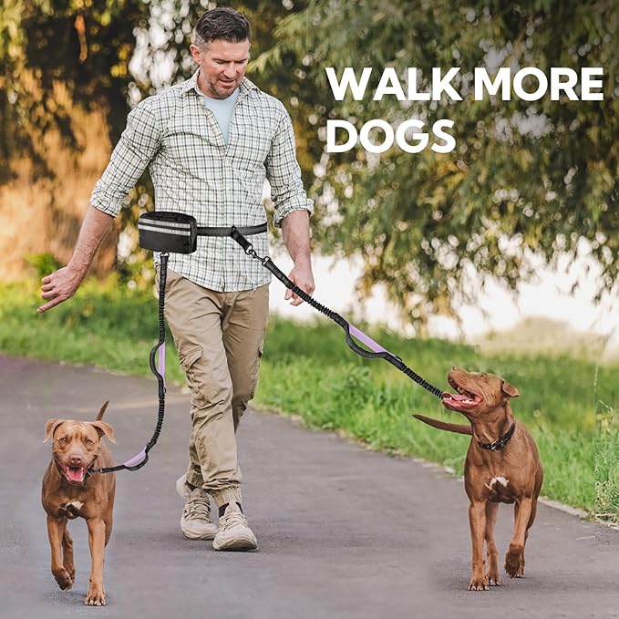 Hands Free Dog Leash with Pouch, Double Leash for Two Dogs, Retractable Bungee with Double Padded Handles, Dog Waist for Dog Walking, Running for Dogs, Dog Walking Accessories