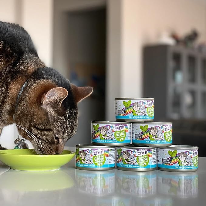 Weruva B.F.F. OMG - Best Feline Friend Oh My Gravy!, Chicken & Salmon Stir It Up with Chicken & Salmon in Gravy, 5.5oz Can (Pack of 8)