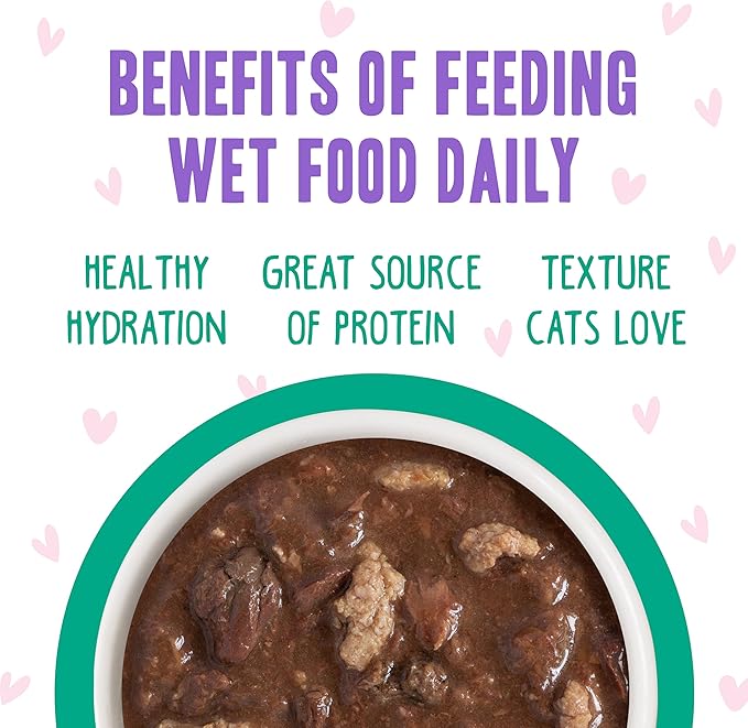 B.F.F. OMG - Best Feline Friend Oh My Gravy!, Tuna & Turkey Tell Me with Tuna & Turkey, 2.8oz Can (Pack of 12)